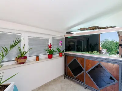 Ferienwohnung für 5 Personen (50 m²) in Crikvenica 5/10