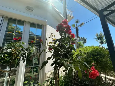 Ferienwohnung für 4 Personen (60 m²) in Crikvenica 10/10