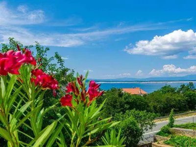 Ferienwohnung für 6 Personen (54 m²) in Crikvenica 8/10