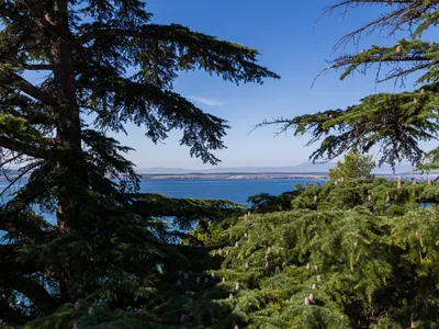 Ferienwohnung für 2 Personen (30 m²) in Crikvenica 6/10