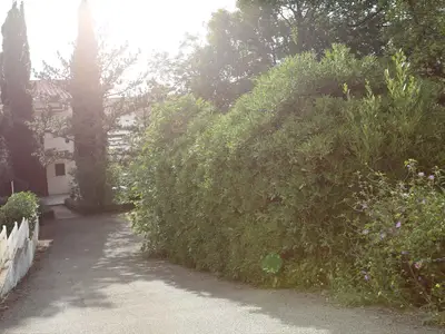 Ferienwohnung für 3 Personen (60 m²) in Selce 7/10