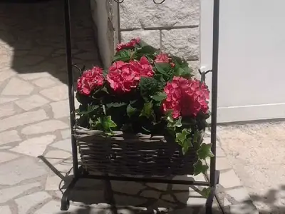 Ferienwohnung für 3 Personen (28 m²) in Crikvenica 6/10