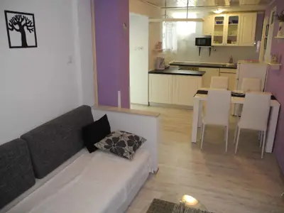 Ferienwohnung für 3 Personen (35 m²) in Crikvenica 9/10