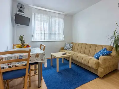 Ferienwohnung für 3 Personen (30 m²) in Crikvenica 10/10