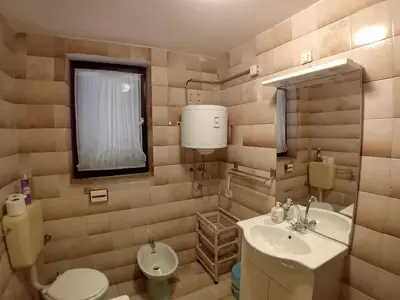 Ferienwohnung für 6 Personen (75 m²) in Crveni Vrh 10/10