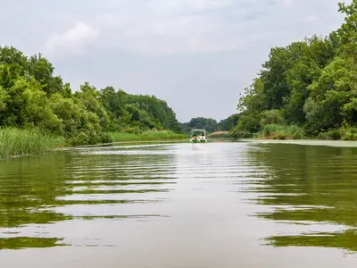 Ferienwohnung für 4 Personen (46 m²) in Cserkeszőlő 10/10