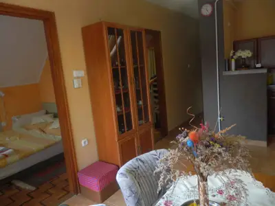 Ferienwohnung für 4 Personen (46 m²) in Cserkeszőlő 7/10