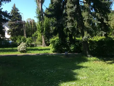 Ferienwohnung für 4 Personen (25 m²) in Csopak 5/10