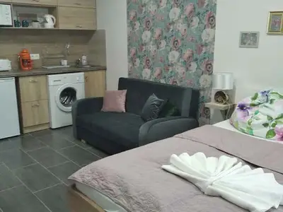 Ferienwohnung für 4 Personen (25 m²) in Csopak 1/10