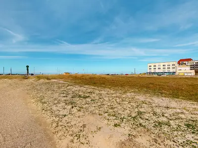 house house