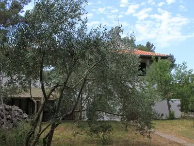 Ferienwohnung für 3 Personen in Ćunski 9/10