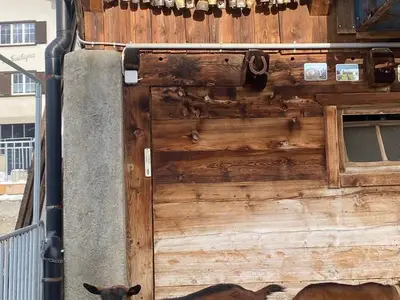 Ferienwohnung für 4 Personen (72 m²) in Cunter 5/10