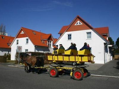 Ferienwohnung für 4 Personen (49 m²) in Cuxhaven 10/10