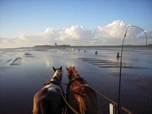 23352808-Ferienwohnung-2-Cuxhaven-300x225-2