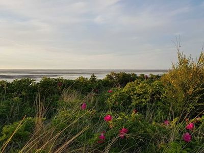 Ferienwohnung für 4 Personen (49 m²) in Cuxhaven 9/10