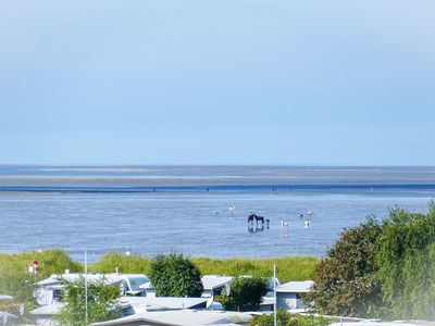 Ferienwohnung für 4 Personen (47 m²) in Cuxhaven 2/10