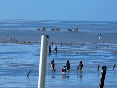 Ferienwohnung für 3 Personen (55 m²) in Cuxhaven 10/10