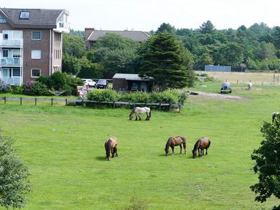 Ferienwohnung für 4 Personen (70 m²) in Cuxhaven 9/10