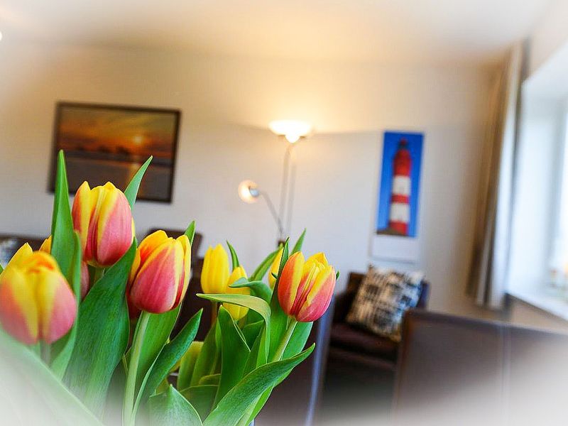 23872680-Ferienwohnung-4-Cuxhaven-800x600-1