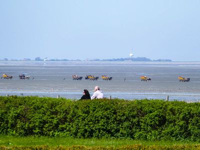 Ferienwohnung für 3 Personen (60 m²) in Cuxhaven 8/10