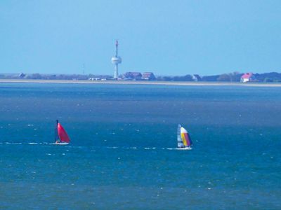 Ferienwohnung für 4 Personen (50 m²) in Cuxhaven 3/10