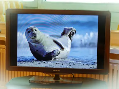 TV / Multimedia