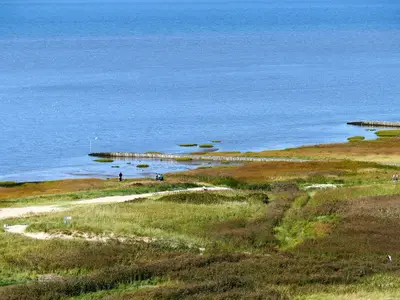 Landschaft