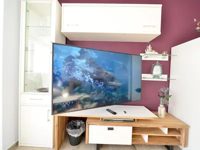 TV / Multimedia