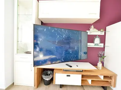 TV / Multimedia