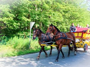 23873582-Ferienwohnung-3-Cuxhaven-300x225-2