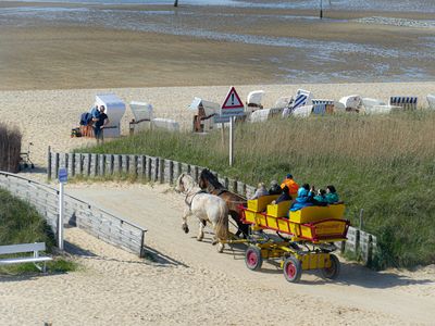 Ferienwohnung für 3 Personen (45 m²) in Cuxhaven 7/10