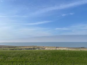 23976919-Ferienwohnung-4-Cuxhaven-300x225-3