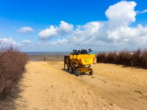 19261594-Ferienwohnung-4-Cuxhaven-300x225-3