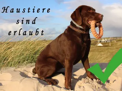 Ferienwohnung für 4 Personen (47 m²) in Cuxhaven 5/10