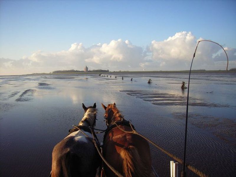 23913920-Ferienwohnung-2-Cuxhaven-800x600-1