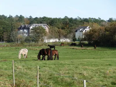 Ferienwohnung für 4 Personen (47 m²) in Cuxhaven 2/10