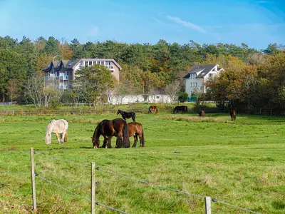Gartenblick