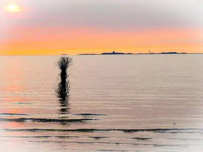Meerblick