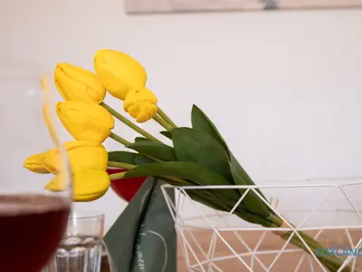 Ferienwohnung für 4 Personen (65 m²) in Cuxhaven 9/10