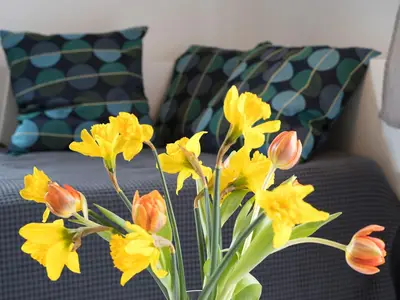 Ferienwohnung für 2 Personen (20 m²) in Cuxhaven 10/10