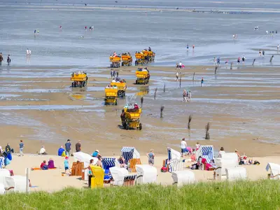 Strand