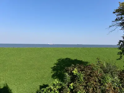 Meerblick