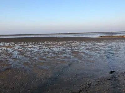 Ferienwohnung für 3 Personen (35 m²) in Cuxhaven 8/10