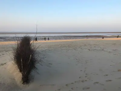 Ferienwohnung für 3 Personen (35 m²) in Cuxhaven 9/10