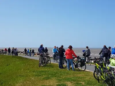 Ferienwohnung für 4 Personen (45 m²) in Cuxhaven 5/10
