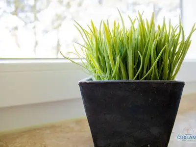 Ferienwohnung für 3 Personen (40 m²) in Cuxhaven 6/10