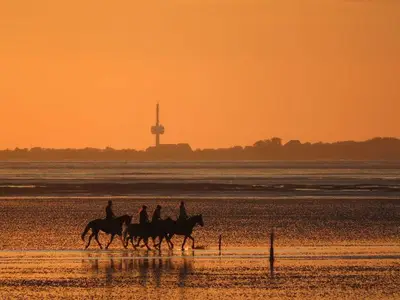 Ferienwohnung für 5 Personen (81 m²) in Cuxhaven 10/10