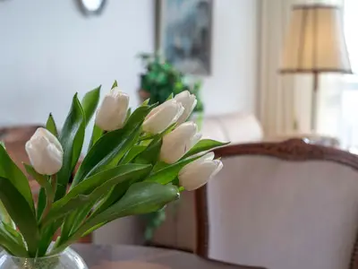 Ferienwohnung für 2 Personen (50 m²) in Cuxhaven 9/10