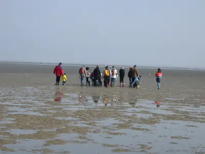 Ferienwohnung für 2 Personen (51 m²) in Cuxhaven 8/9