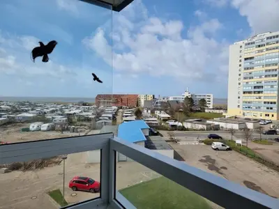 Ferienwohnung für 4 Personen (46 m²) in Cuxhaven 10/10